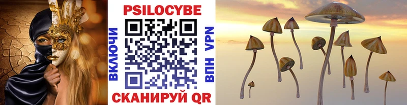 Купить  Топки  Галлюциногенные грибы мухоморы 
